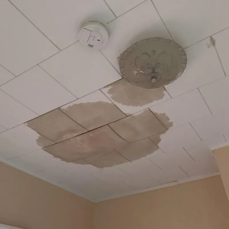 Ceiling Water Damage Repair in City of Petersburg, VA