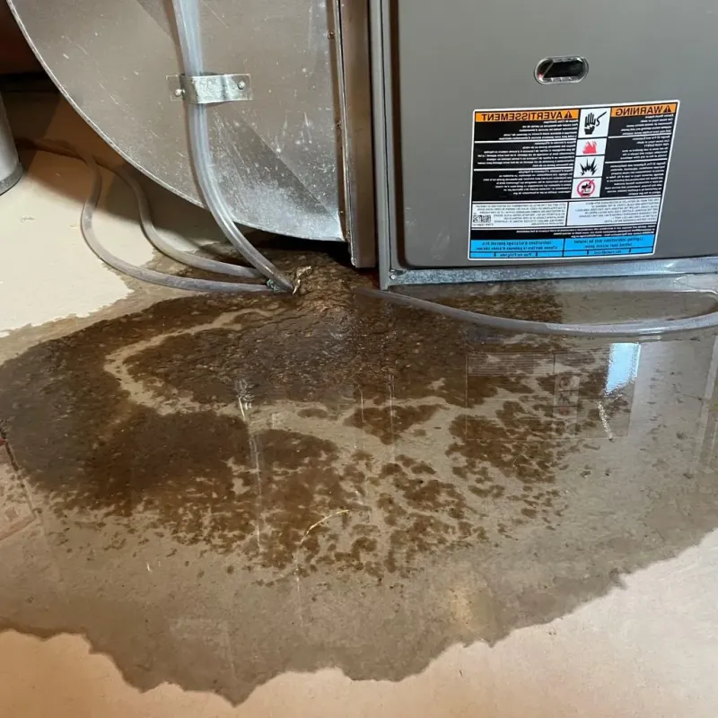 Pipe Burst and Leak Restoration in City of Petersburg, VA