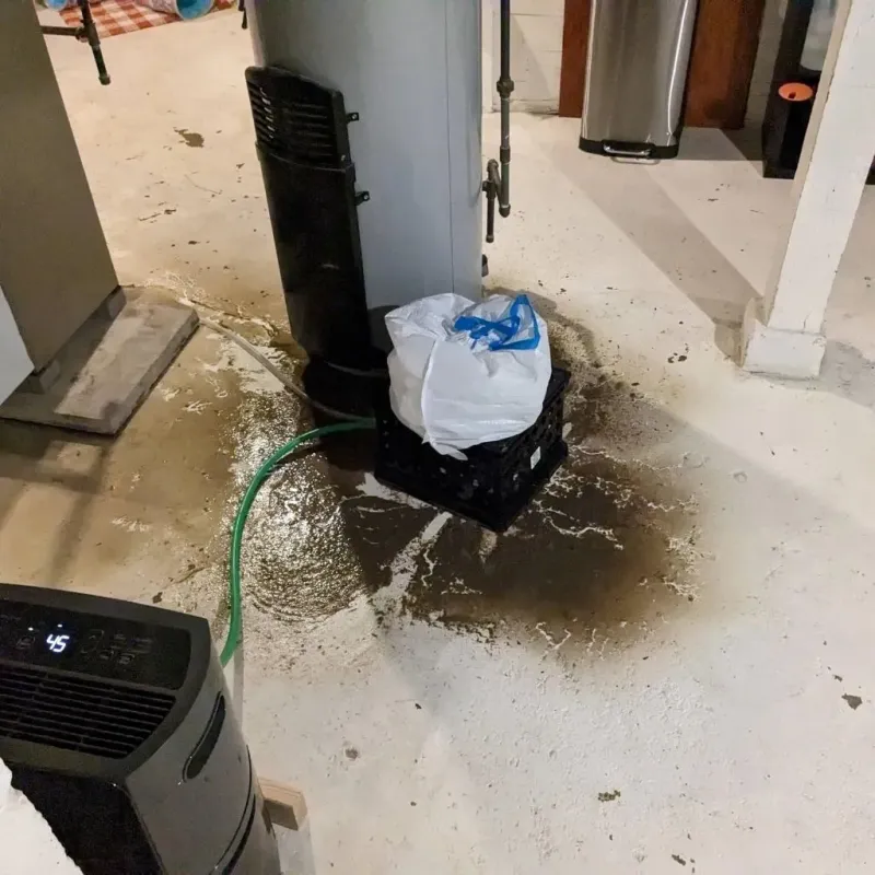 Sewage Backup Cleanup Service in City of Petersburg, VA